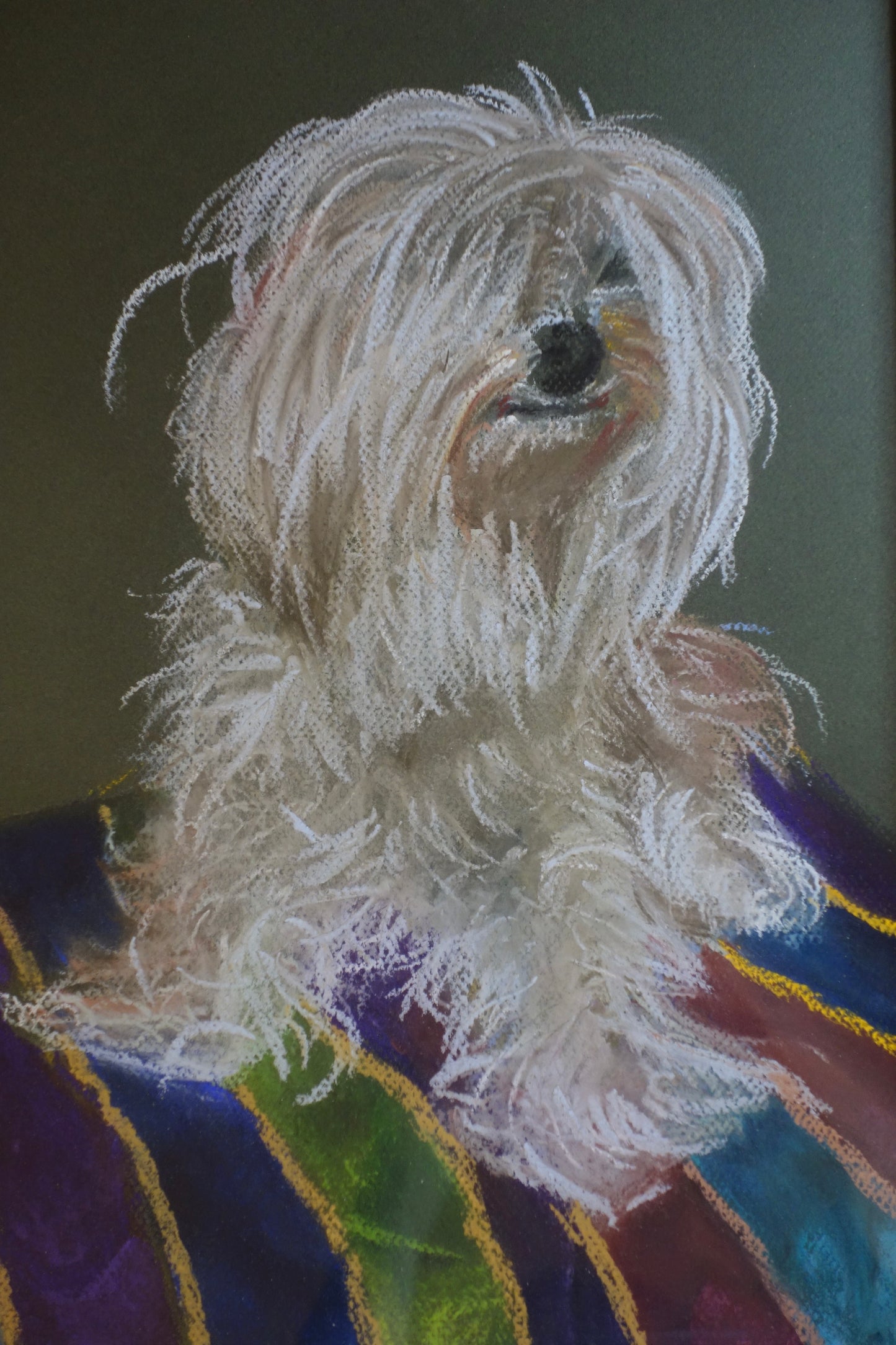 Chien sur commande