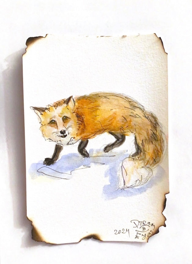 Renard Ă l'aquarelle