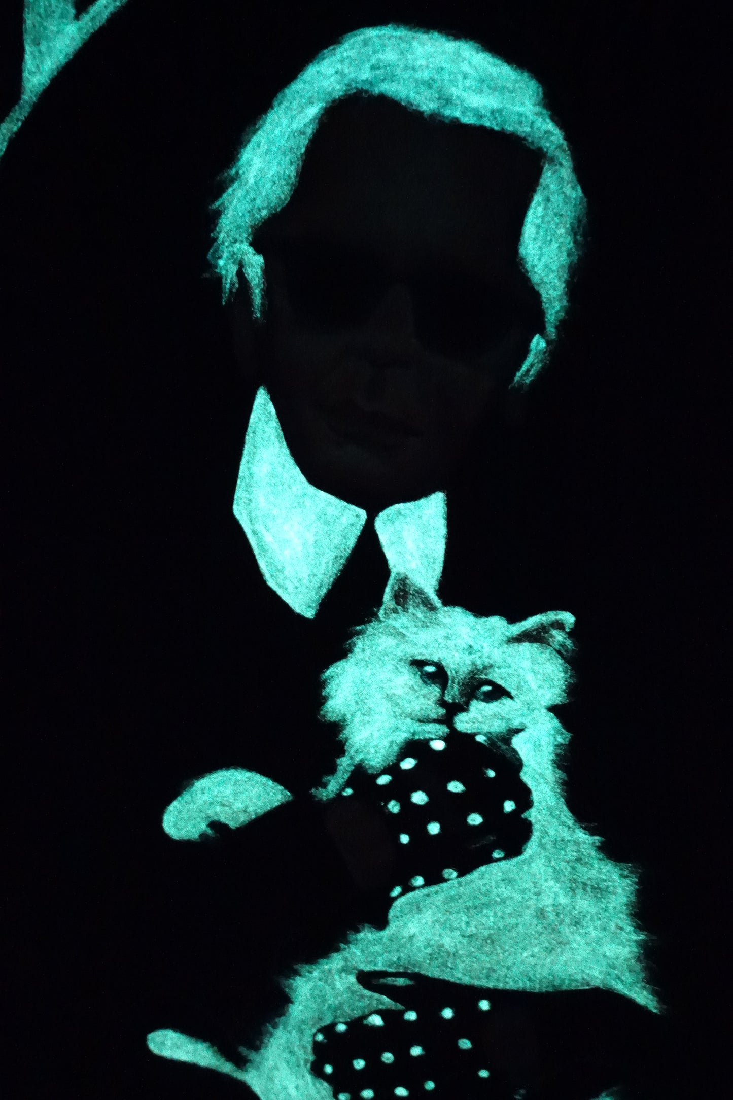 Karl Et Choupette