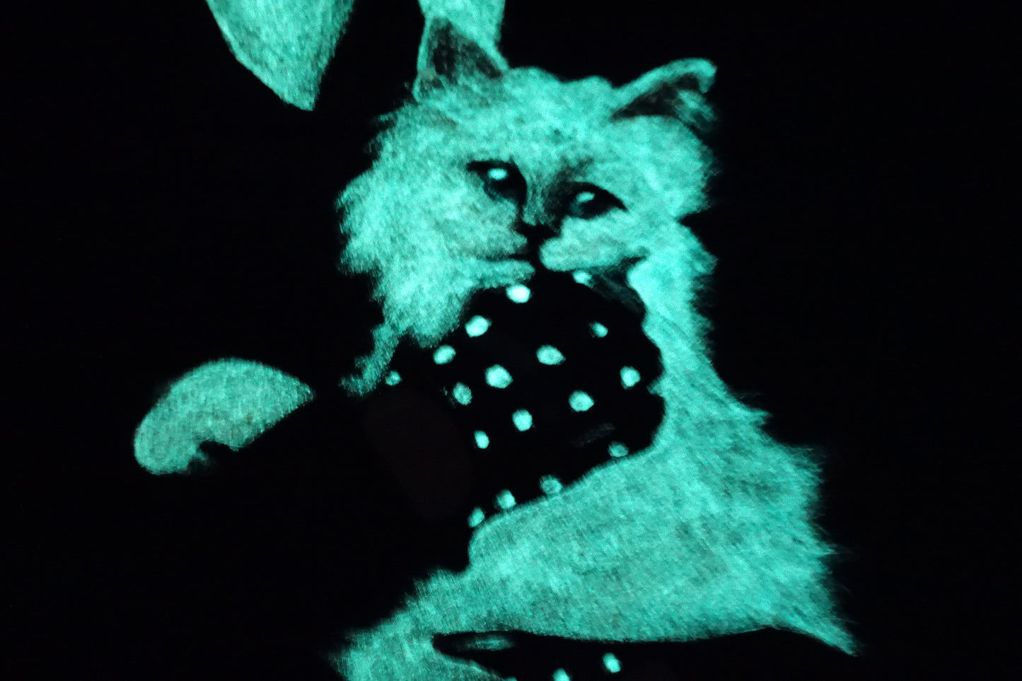 Karl Et Choupette